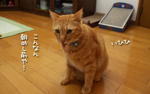 いづこへ?_d0355333_12484436.jpg