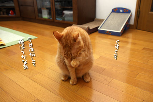 いづこへ?_d0355333_12484562.jpg
