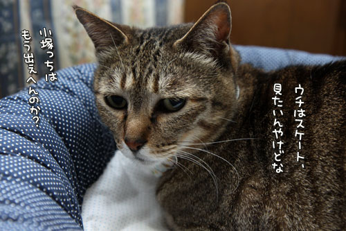 ちょっとだけ独身貴族_d0355333_12484678.jpg