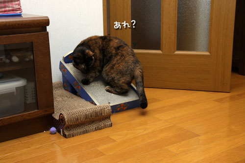 おもちゃに夢中!_d0355333_12484849.jpg