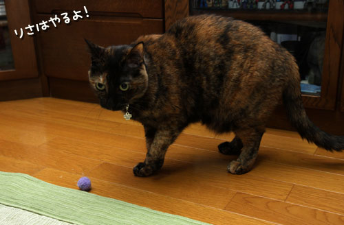 おもちゃに夢中!_d0355333_12484921.jpg