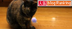 おもちゃに夢中!_d0355333_12484959.jpg