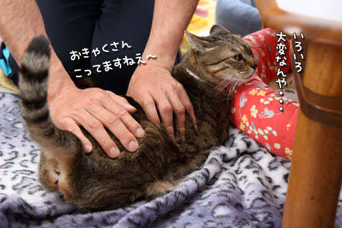 笑子たんマッサージのおねだんは?_d0355333_12485035.jpg