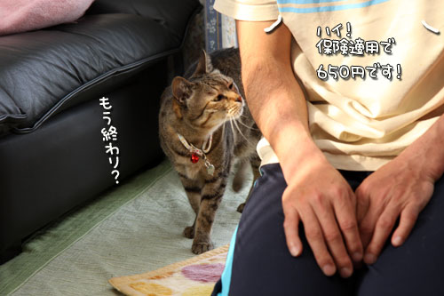 笑子たんマッサージのおねだんは?_d0355333_12485092.jpg
