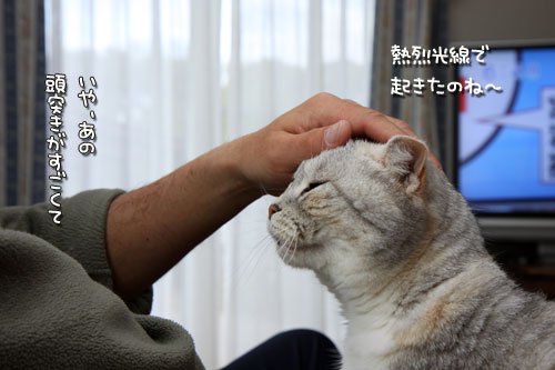 待ってるの。_d0355333_12485220.jpg