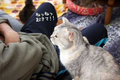 待ってるの。_d0355333_12485234.jpg