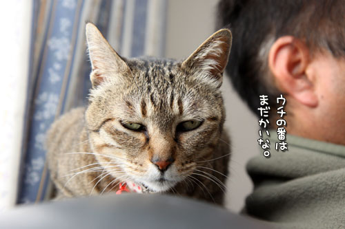 待ってるの。_d0355333_12485305.jpg
