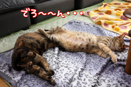 励まされる時?_d0355333_12485421.jpg