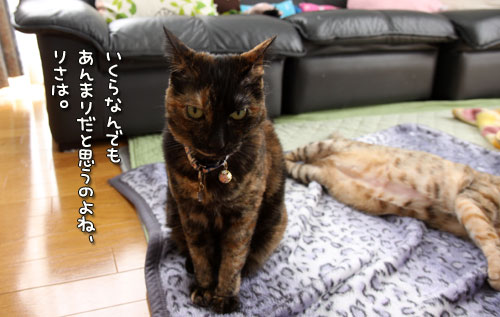 励まされる時?_d0355333_12485460.jpg