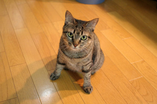 ありがとう、そしておめでとう。_d0355333_12485607.jpg