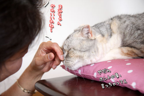 アメリカからのお客様!_d0355333_12485882.jpg