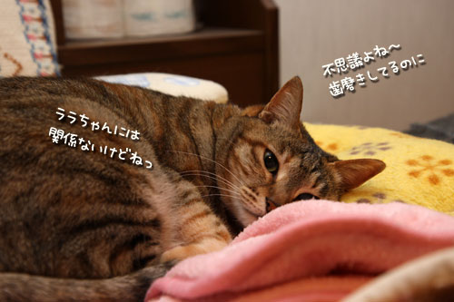 歯は大切に。_d0355333_12490021.jpg