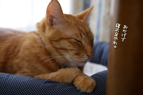 歯は大切に。_d0355333_12490138.jpg