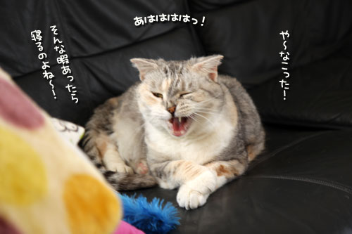 歯は大切に。_d0355333_12490190.jpg