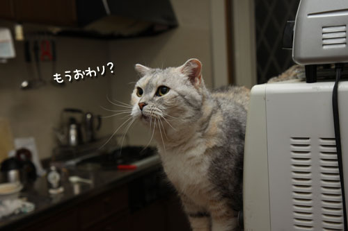 バックバック!_d0355333_12490639.jpg