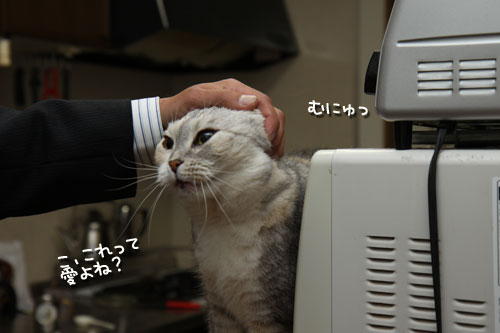 バックバック!_d0355333_12490648.jpg