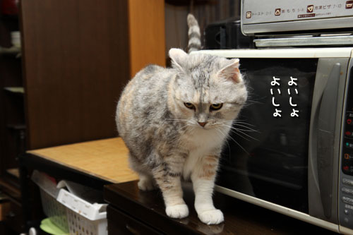 バックバック!_d0355333_12490690.jpg