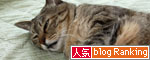 ホカペはそろそろおしまいやのに?_d0355333_12491181.jpg