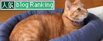 やる気をそぐ猫_d0355333_12492703.jpg