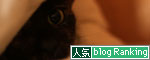 かくれんぼが上手な子は?_d0355333_12493299.jpg