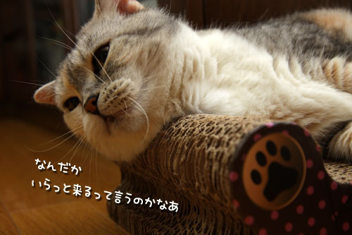 さりげなく主張。_d0355333_12494580.jpg