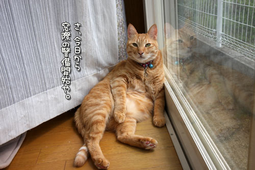 雨が上がったら_d0355333_12495653.jpg