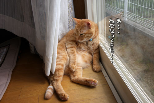 雨が上がったら_d0355333_12495725.jpg