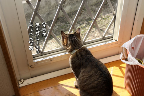 トラブル回避するには。_d0355333_12495835.jpg