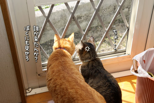 トラブル回避するには。_d0355333_12495842.jpg