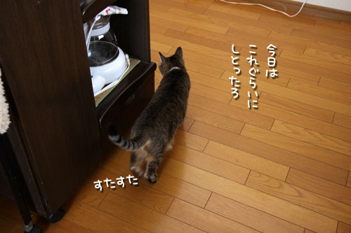 トラブル回避するには。_d0355333_12495925.jpg