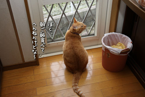 通常出勤。_d0355333_12500000.jpg