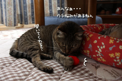 通常出勤。_d0355333_12500043.jpg