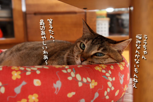 通常出勤。_d0355333_12500138.jpg
