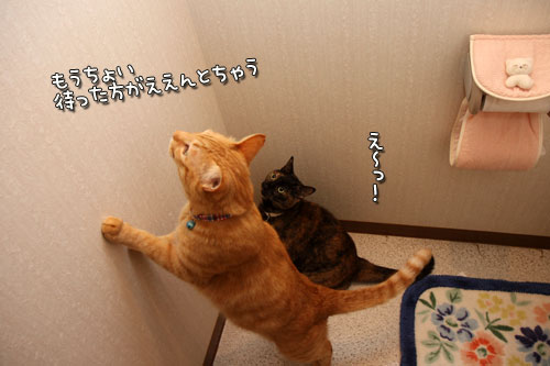 青くなるまで待て。_d0355333_12500366.jpg