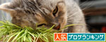 やっぱり待てない!_d0355333_12500675.jpg