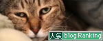 奇跡的にかわいい顔!_d0355333_12501039.jpg