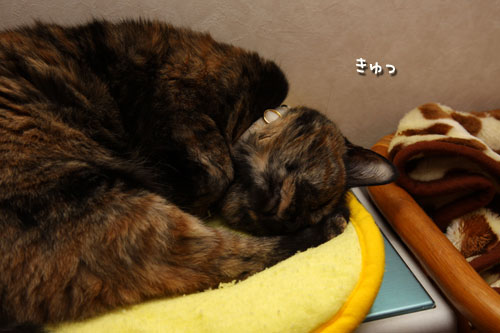 まずは確認、のはずが。_d0355333_12501104.jpg