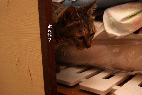 まずは確認、のはずが。_d0355333_12501128.jpg