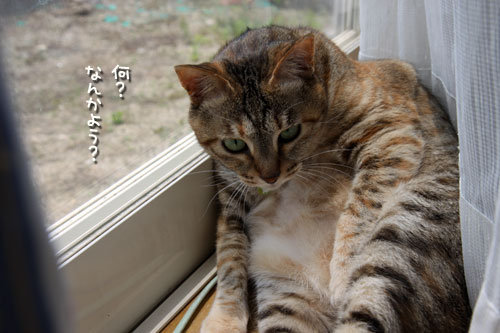 まずは確認、のはずが。_d0355333_12501197.jpg