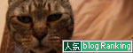 負けずに!_d0355333_12501202.jpg