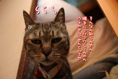 まずは確認、のはずが。_d0355333_12501245.jpg