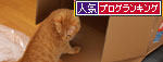 猫の手は借りない。_d0355333_12501548.jpg