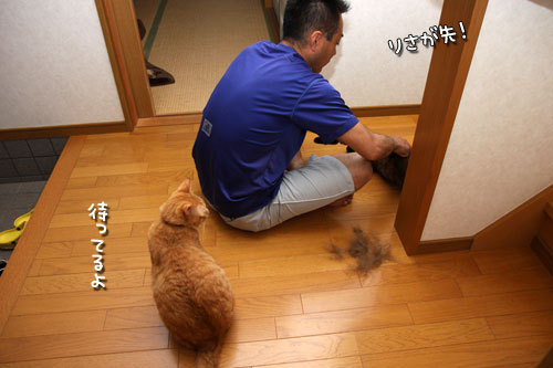 ブラシでご機嫌とり_d0355333_12503252.jpg