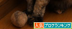ブラシでご機嫌とり_d0355333_12503374.jpg