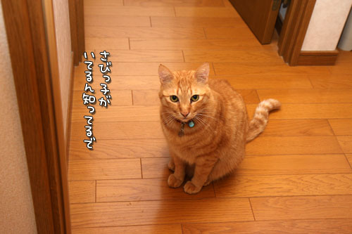 仲良くしてほしいんだけど_d0355333_12503753.jpg