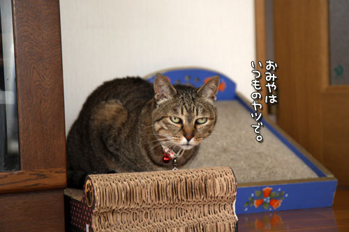 ララちゃんにおまかせ!_d0355333_12503903.jpg
