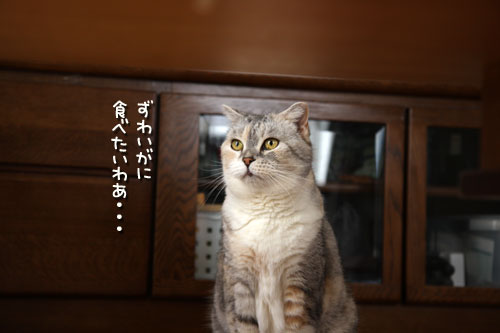 ララちゃんにおまかせ!_d0355333_12503959.jpg