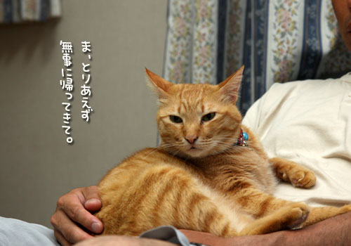 ララちゃんにおまかせ!_d0355333_12504008.jpg
