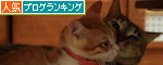 こねこ味。_d0355333_12533262.jpg