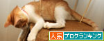 しぃ~~っ!_d0355333_12533584.jpg